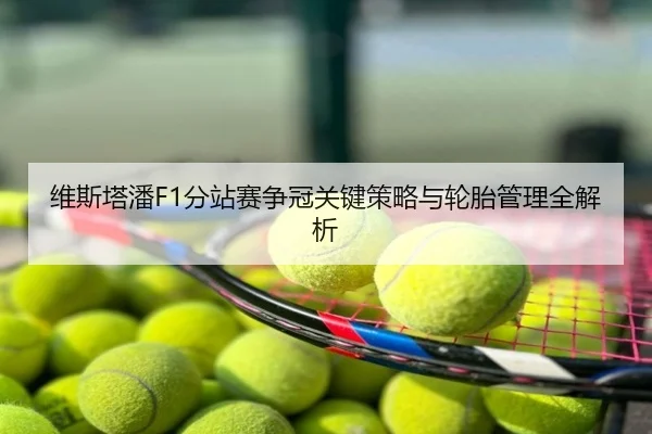 维斯塔潘F1分站赛争冠关键策略与轮胎管理全解析
