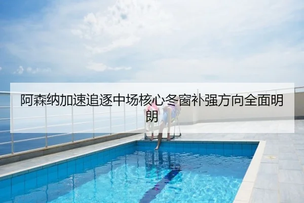 阿森纳加速追逐中场核心冬窗补强方向全面明朗